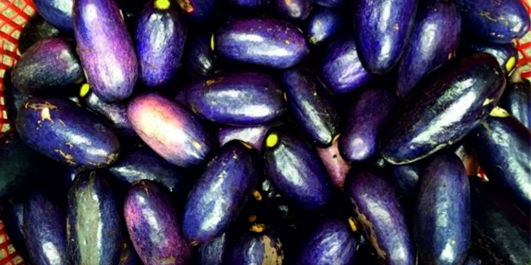 Benefits of African pear (Dacryodes Edulis)