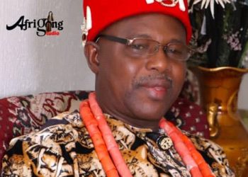No South East governor has courage to speak for  Igbos – Nkwoji