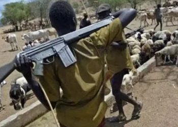 Herdsmen still tormenting us, Enugu LGA boss, farmers cry out