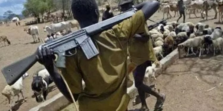 Herdsmen still tormenting us, Enugu LGA boss, farmers cry out