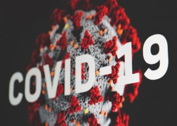 Looking back at Covid-19 invasion