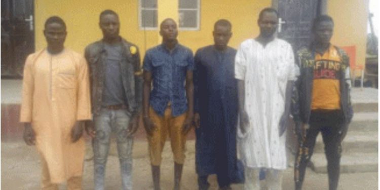 Nigerian military kills bandit, arrests six others