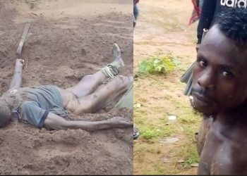 Anambra man apprehended  for killing 70yr old father