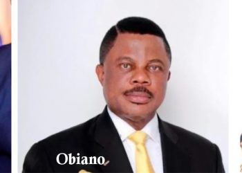 Obiano/Arthur Eze tiff | What really went wrong?