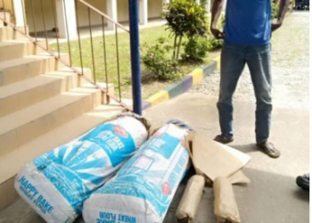 “I thought it was bags of crayfish” – Suspect caught with 200kg Indian hemp