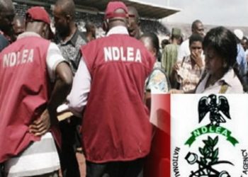 NDLEA discovers new method  of packaging illicit drugs
