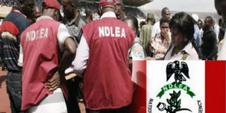 NDLEA discovers new method  of packaging illicit drugs
