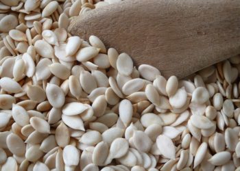 Amazing health benefits of Melon (Egusi)