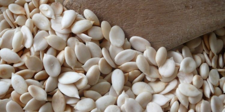 Amazing health benefits of Melon (Egusi)