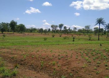 Rights Group accuses  Ugwuanyi of arbitrary  seizure of citizen’s lands