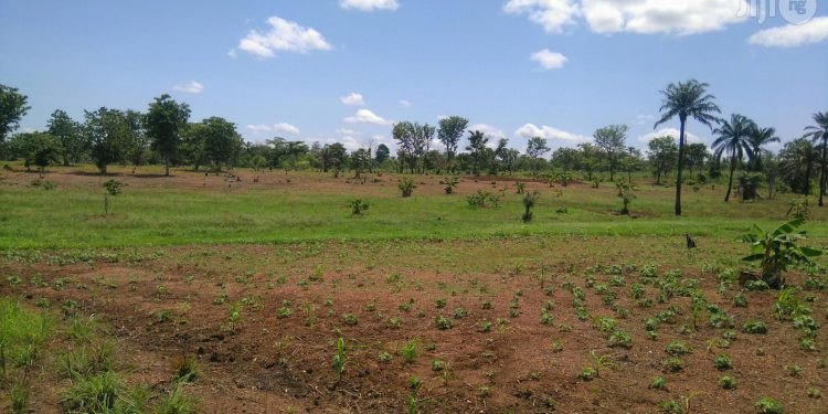Rights Group accuses  Ugwuanyi of arbitrary  seizure of citizen’s lands