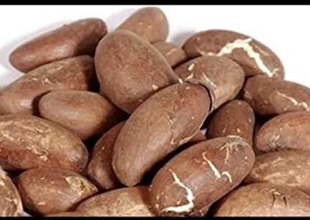 7 health benefits of bitter kola