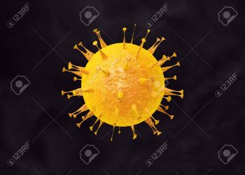 Mysterious deaths in Delta, Enugu  caused by yellow fever -NCDC DG