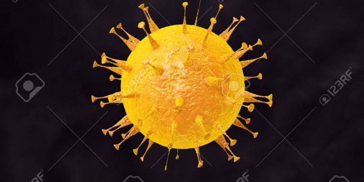 Mysterious deaths in Delta, Enugu caused by yellow fever -NCDC DG