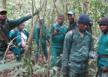 Enugu govt turns to Forest Guards for security,  traffic control, as policemen remain adamant