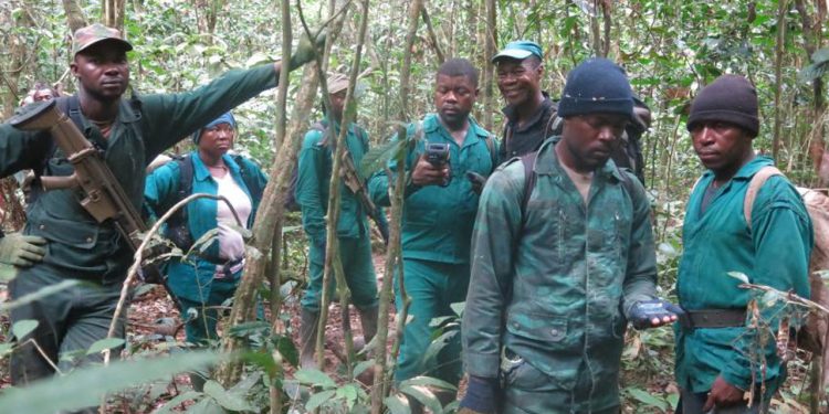 Enugu govt turns to Forest Guards for security,  traffic control, as policemen remain adamant