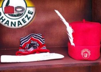 Ohanaeze Ndigbo: Obiozor represents  will of Imo people, says Anyanwu