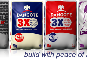 Nigerians kick as FG grants Dangote cement sole access to land border