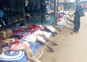 Umuahia abattoir poses health risks to consumers