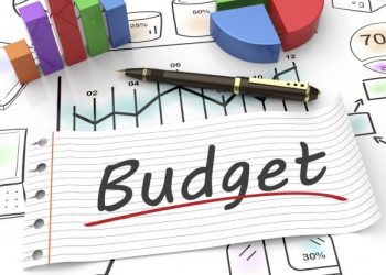 Budgets: a tool for development  or misappropriation of funds?