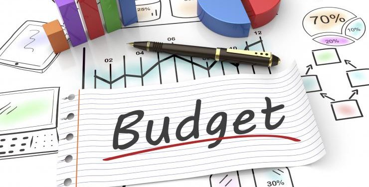 Budgets: a tool for development or misappropriation of funds?