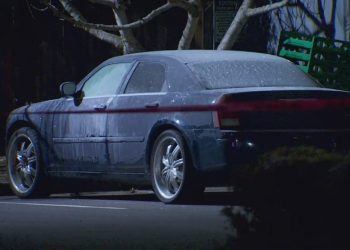 Bodies of 3 children found in car of retired police officers’ home