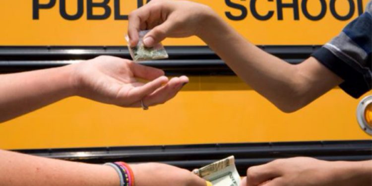 Group moves to check drug abuse, exam malpractices among pupils in Anambra schools