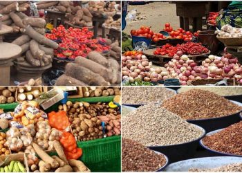 Curbing the challenge of  food insecurity in South East