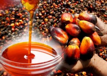 Palm oil price further increases in Enugu major markets