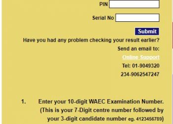 How to check 2020 SSCE results