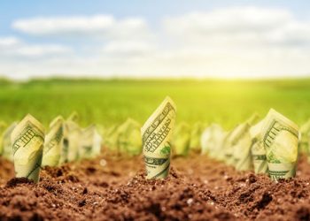 Donor funds lift agribusiness with N12b in Anambra, Niger, others