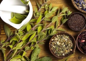 NANTMP vows to fight fake herbalists in Imo