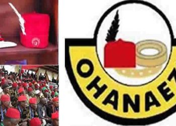 Fresh facts on why Ohanaeze election  committee was dissolved