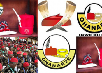 Ohanaeze Ndigbo: Obiozor’s  adoption is unacceptable – OYC