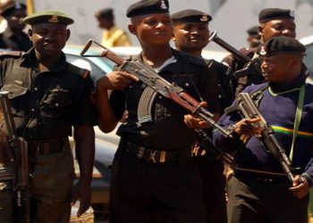 State police:  How feasible?