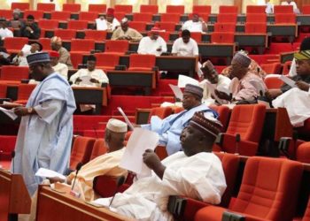 Nigeria needs the people’s constitution