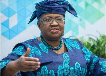 Igbo woman who can fix Nigeria