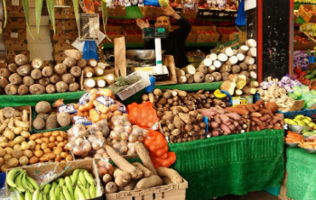 High food prices’ll persist for months — Farmers