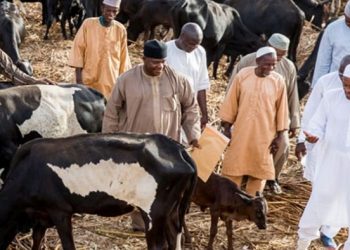 Kidnapped Katsina students Does Nigeria still have a president?