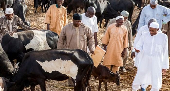 Kidnapped Katsina students Does Nigeria still have a president?