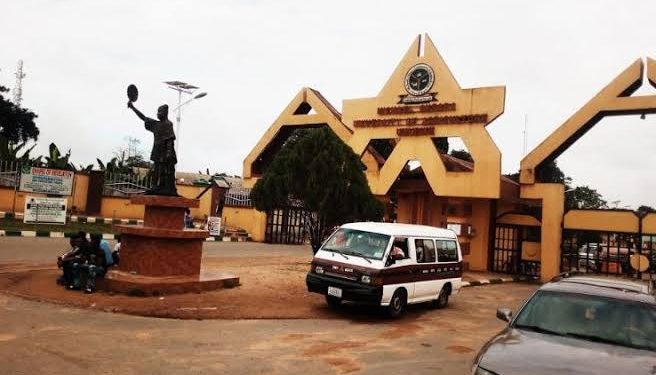 Foundation ends water crises in M.I Okpara’s community