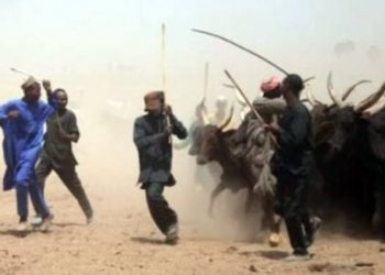 Herdsmen attack Kaduna village, kill 7