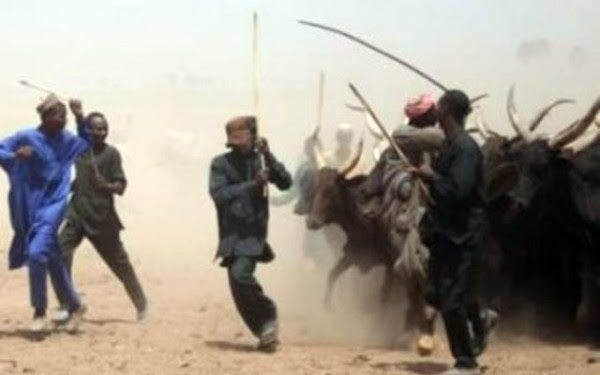 Herdsmen attack Kaduna village, kill 7