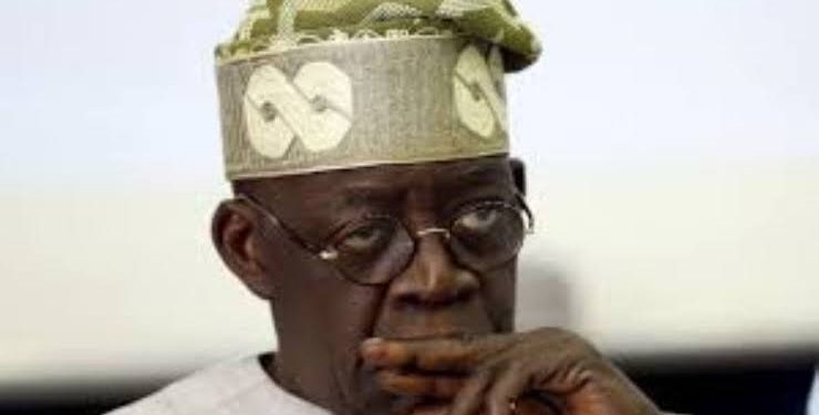 2023: Why Tinubu should drop presidential ambition –Ex-Senator Owie