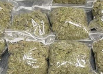 Man jailed for two years for trafficking 25.5kg of Indian Hemp