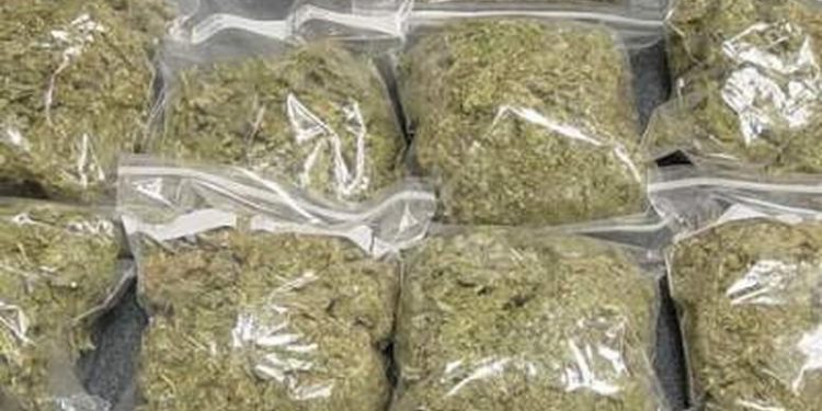 Man jailed for two years for trafficking 25.5kg of Indian Hemp