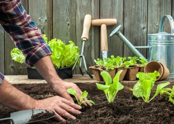 Imo gardeners protest 4 months arrears of salaries