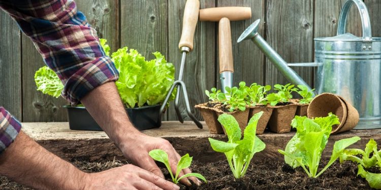 Imo gardeners protest 4 months arrears of salaries