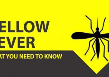 Vaccination, clean environment are antidote against yellow fever – Okowa