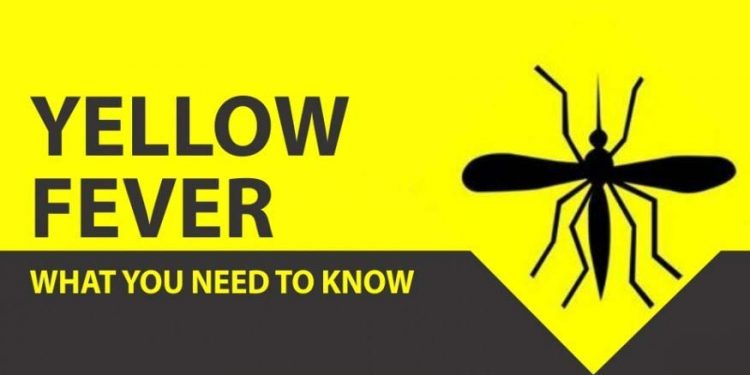 Vaccination, clean environment are antidote against yellow fever – Okowa